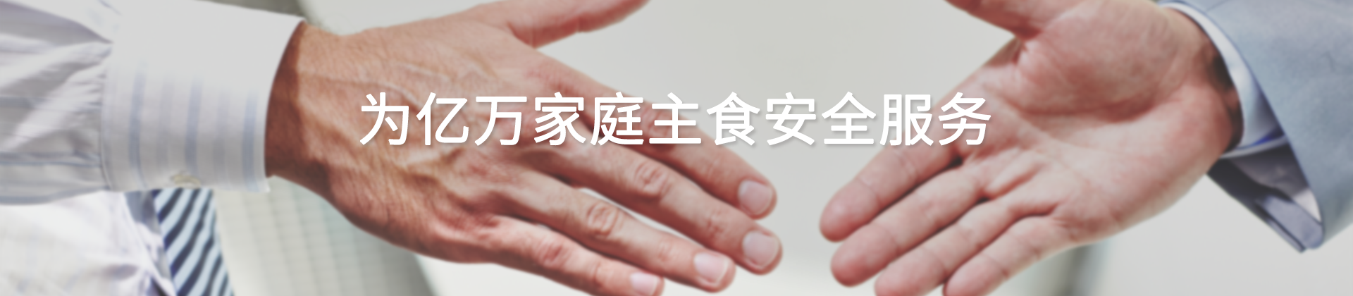 为亿万家庭主食安全服务